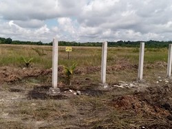 Jurus Negara Tertibkan Tanah Terlantar