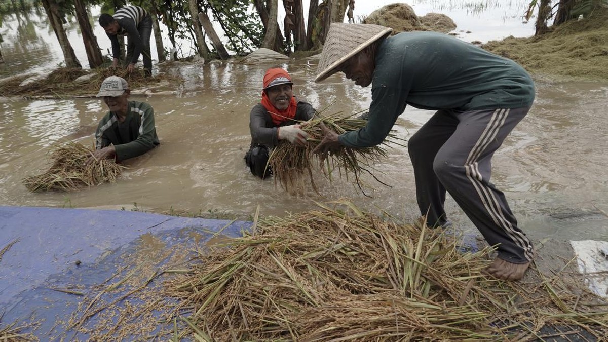 FOTO: Banyumas Kembali Terendam Banjir usai Hujan dan Pasang