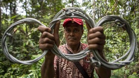 FOTO: Jalan Tobat Pemburu Harimau Sumatera