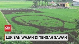 VIDEO: Lukisan Wajah Ganjar Pranowo di Tengah Sawah
