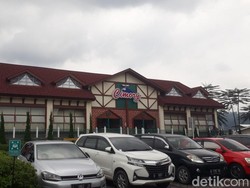 Menikmati Taman Kincir Angin hingga Main Bareng Satwa di Cimory Prigen
