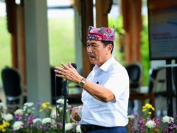 Luhut Sebut UEA Siap Investasi Rp 294 T di IKN