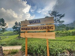 Berapa Jam Ciwidey ke Pangalengan Lewat Soreang dan Mekarsari?