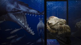 Museum Tertua Kedua di Jepang Tak Mampu Bayar Tagihan Listrik