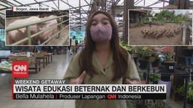 VIDEO: Wisata Edukasi Beternak dan Berkebun