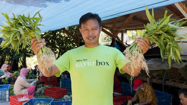 Sederet Startup Sayur-Buah RI yang PHK, Bangkrut, atau Tutup