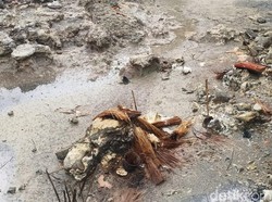 Cerita Ritual di Petilasan Empu Supo Tuban, Korek Mbledos Bakar Wajah