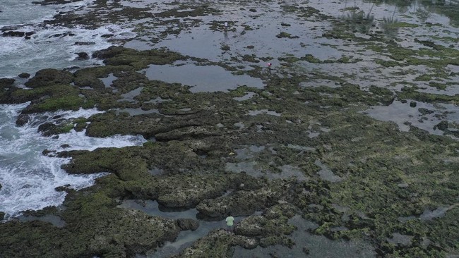 FOTO: Menikmati Tenang Pantai Sawar di Utara Papua