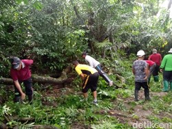 Polisi Sempat Cari Keberadaan Viral Ular Besar Mistis Menyeberang Jalan