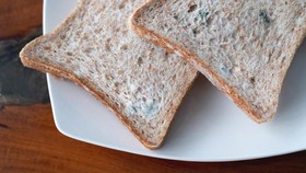 Kerap Tidak Disadari, Ini 5 Efek Makan Makanan Basi Buat Tubuh