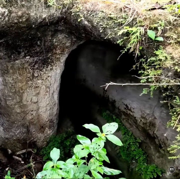 <p>Dahulu, banyak orang yang penasaran dengan rumah batu milik keluarga Jajang. Di tahun 1998, rumahnya banyak dikunjungi oleh para wisatawan yang penasaran. (Foto: YouTube FHR 21 ENTERTAINMENT)<br /><br /><br /></p>
