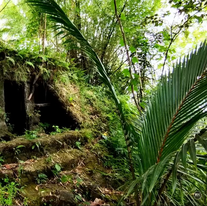 <p>Rumah batu milik keluarga Jajang dibangun di kebun seluas 1,5 hektare. Hunian tersebut memiliki luas 12 x 6 dengan tinggi kurang lebih 2 meter. (Foto: YouTube FHR 21 ENTERTAINMENT)<br /><br /><br /></p>