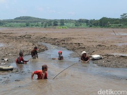 Warga Blitar Ramai-ramai Berburu Ikan Saat Waduk Dikuras