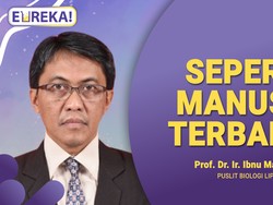 Mengungkap Misteri Orang Bati yang Bisa Terbang