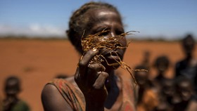 FOTO: Kekeringan di Madagaskar, Warga Makan Kaktus Liar untuk Bertahan