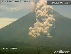 Penampakan Semburan Awan Panas Sejauh 4 Km dari Gunung Semeru