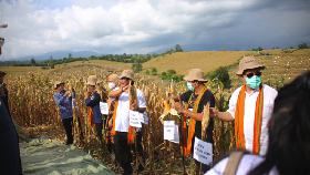 Bank Mandiri Dorong Pemberdayaan Petani Jagung di Dompu