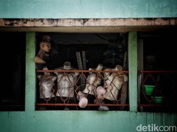 KCN Respon Ancaman Gugatan Polusi Debu Batu Bara: Kami Ingin Persuasif