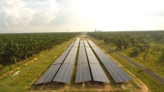 Sejalan dengan transisi energi berkelanjutan yang menjadi prioritas Presidensi G20 Indonesia 2022, Pertamina ambil aksi fokus menjalankan 8 inisiatif strategis.