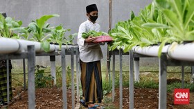 FOTO: Panen Sayur ala Santri Ponpes