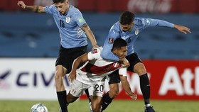 FOTO: Suarez dan Cavani Punya Andil Antar Uruguay ke Piala Dunia 2022