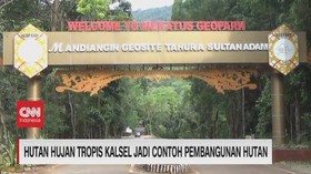 VIDEO: Hutan Hujan Tropis Kalsel Jadi Contoh Pembangunan Hutan