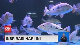 VIDEO: Meraup Cuan Dari Budi Daya Ikan Predator Dan Telur Jangkrik