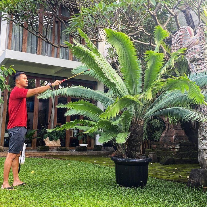 <p>Bunda kenal dengan aktor ternama Anjasmara? Ternyata Anjasmara memiliki rumah mewah yang sangat luas, lho. (Foto: Instagram: @anjasmara)</p>