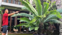 <p>Bunda kenal dengan aktor ternama Anjasmara? Ternyata Anjasmara memiliki rumah mewah yang sangat luas, lho. (Foto: Instagram: @anjasmara)</p>