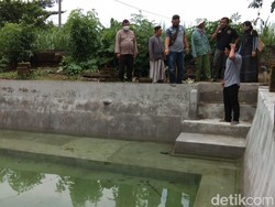 Lepas dari Pengawasan, 2 Balita Tulungagung Tewas Tercebur Kolam Gurami