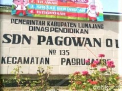 Pak Ribut di Mata Guru hingga Kepsek SD Pagowan Lumajang