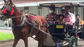 Jokowi Ajak Cucu Naik Delman di Jogja: Hari Minggu yang Menyenangkan