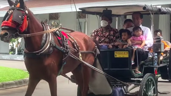 Presiden Jokowi mengajak cucu-cucunya naik delman keliling pelataran Istana Yogyakarta, dia duduk di samping kusir memangku cucunya bergantian.