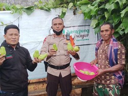 Cerita soal Ipda Purwanto Punya Petani Binaan dan Berbagi Sayur ke Panti Asuhan