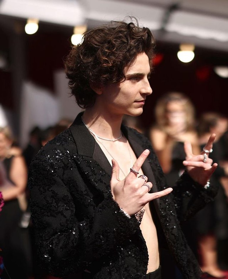 Timothee Chalamet Timothee Chalamet