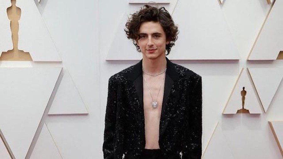 Timothee Chalamet Timothee Chalamet
