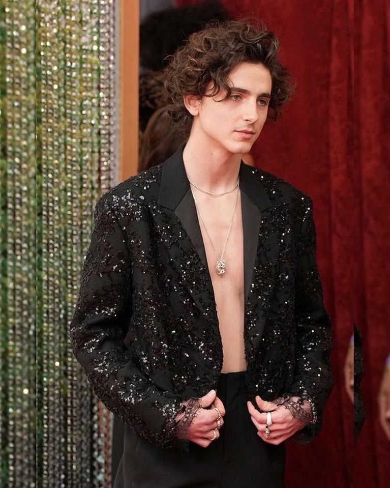 Timothee Chalamet Timothee Chalamet
