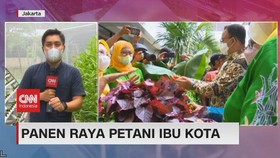 VIDEO: Panen Raya Petani di Ibu Kota Jakata