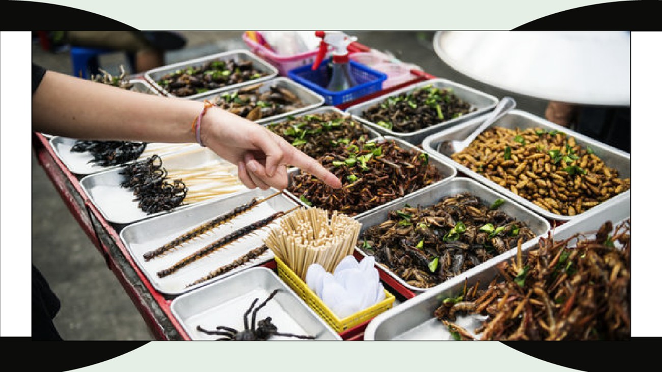 Camilan Serangga, Bisakah Dijadikan Sebagai Sustainable Food?