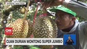 VIDEO: Meraup Cuan Dari Budidaya Flora Dan Fauna