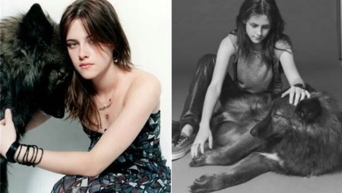 Gurita hingga Alpaca, Sederet Selebritis Hollywood Ini Punya Hewan Peliharaan yang Antimainstream!