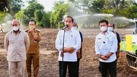 Jokowi Apresiasi Kementan, Food Estate Belu Bisa Kerek Ekonomi Warga