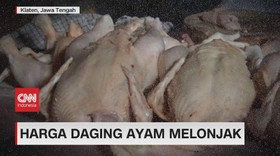 VIDEO: Harga Daging Ayam Naik, Minyak Goreng Curah Langka