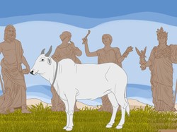Olympusnicus