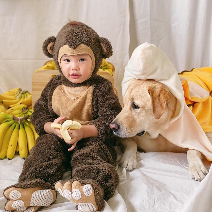 <p>Kali ini, Arthur super gemas khan berdandan dengan kostum monkey. Lengkap dengan pisang di sebelahnya. Lucu banget ya, Bunda! (Foto: Instagram @arthurmiles.po)</p>