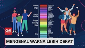 VIDEO: Mengenal Warna Lebih Dekat
