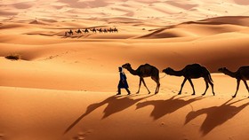 Hujan Langka Guyur Gurun Sahara, Munculkan Laguna Air Biru