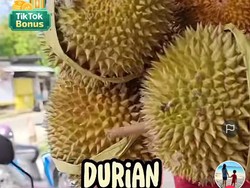 Durian di Fakfak Rp 100 Ribu Dapat 6, Netizen Bandingkan Harga Durian di Daerah Lain
