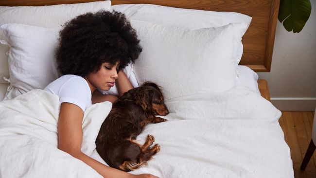 Meski dianggap bisa picu rasa nyaman, namun tidur bersama hewan juga bisa menimbulkan bahaya. Apa saja bahaya tidur bersama hewan peliharaan?