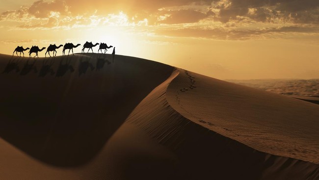 Perusahaan Pertambangan Arab Saudi (Maaden) menemukan harta karun berupa cadangan emas raksasa berkadar tinggi.